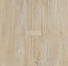 Кварцвиниловые полы Forbo Allura Click Pro 60084CL5 bleached rustic pine фото 1 | FLOORDEALER